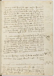 Flug der Vögel, c. 1505-06, Manuskript, Blatt 12 (recto)